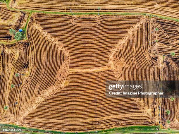 aerial top view, the surface of the land that has been renovated, to prepare for agriculture. - agricultural machinery stock pictures, royalty-free photos & images