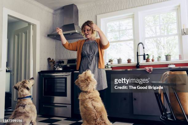 woman feeding treats to dogs in kitchen - croquette pour chien photos et images de collection