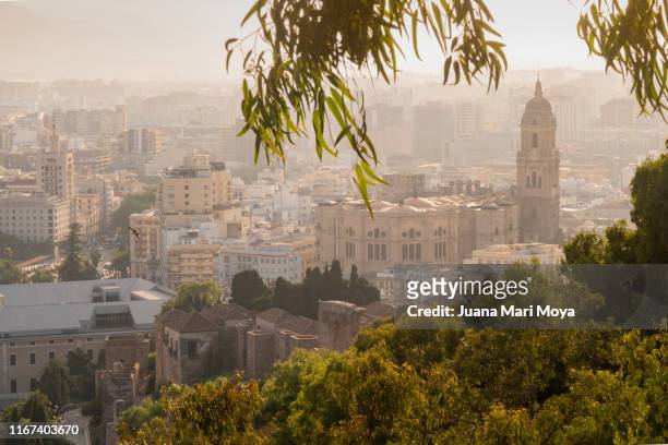 malaga cathedral, view from a viewpoint - malaga photos et images de collection