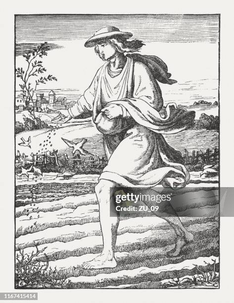 the sower (luke 8, 5), wood engraving, published 1850 - allegory painting stock illustrations