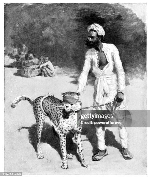 bildbanksillustrationer, clip art samt tecknat material och ikoner med animal handler och cheetah i jaipur, indien-british raj era 19th century - gepard