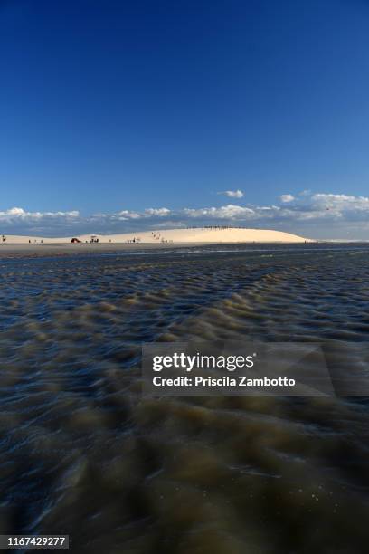 duna do pôr do sol (sunset dune) view from the sea. jericoacoara, ceará, brazil - pôr do sol 個照片及圖片檔