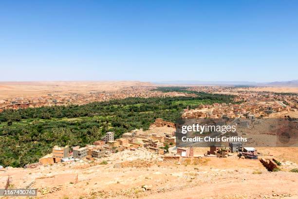 todra gorge and oasis palmeries, southern morocco - palmeraie stock pictures, royalty-free photos & images