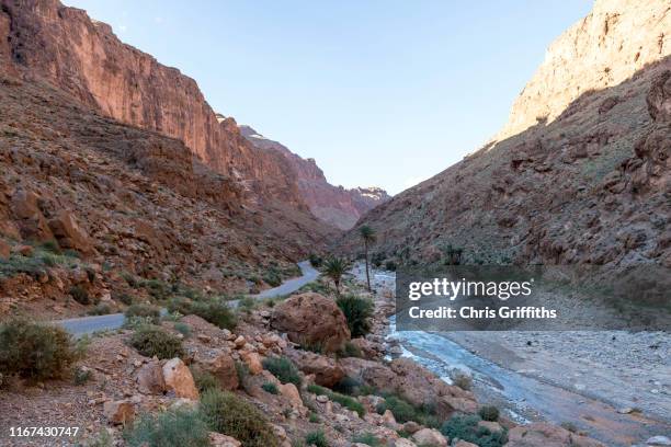 todra gorge and oasis palmeries, southern morocco - palmeraie stock pictures, royalty-free photos & images