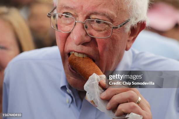 Democratic presidential candidate munches on a corn dog as he walks around the Iowa State Fair August 11, 2019 in Des Moines, Iowa. Twenty-two of the...