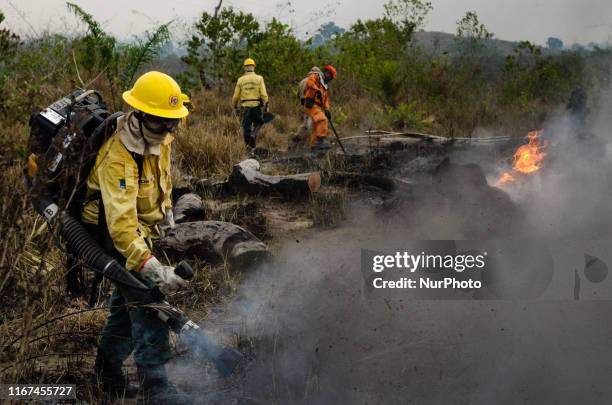 Members of the IBAMA forest fire brigade fight burning in the Amazon area of rural settlement PDS Nova Fronteira, in the city of Novo Progresso, Para...
