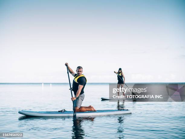 on the lake - toronto summer stock pictures, royalty-free photos & images