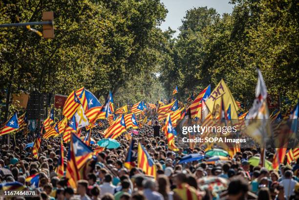 Crowd gathered holding flags during the demonstration for the National Day of Catalonia, which has been organized by the Catalan National Assembly.