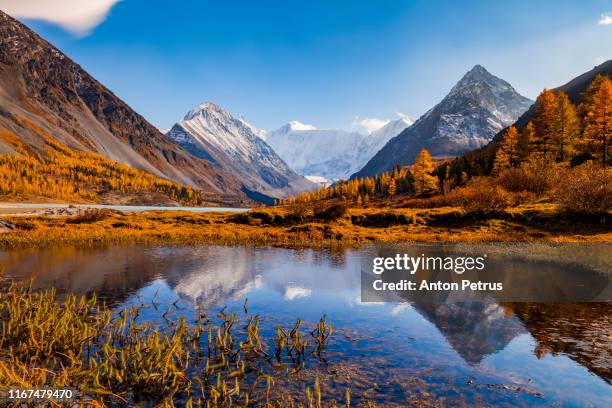 akkem lake in the fall. belukha mountain, altai mountains, siberia, russia - altai mountains ストックフォトと画像