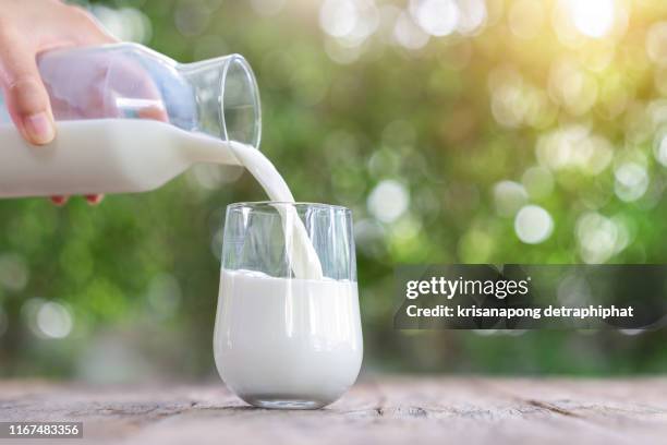 milk on a wooden table has a bokeh background,milk,milk bottle,milk glass - organic stock pictures, royalty-free photos & images