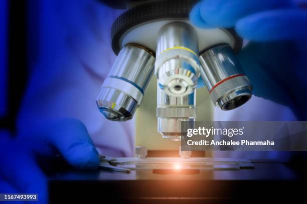 Steel Microscope 941 Metal Microscope Stock Photos, High-Res Pictures, and Images ...
