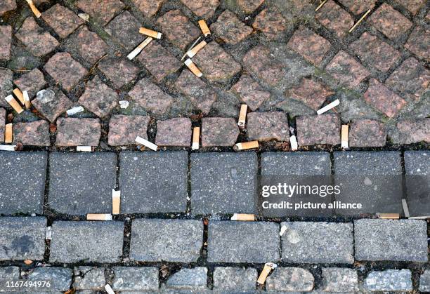 September 2019, Berlin: Numerous cigarette butts thrown to the ground lie on the pavement of the Gendarmenmarkt. It takes about 10 to 15 years for a...