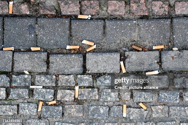September 2019, Berlin: Numerous cigarette butts thrown to the ground lie on the pavement of the Gendarmenmarkt. It takes about 10 to 15 years for a...