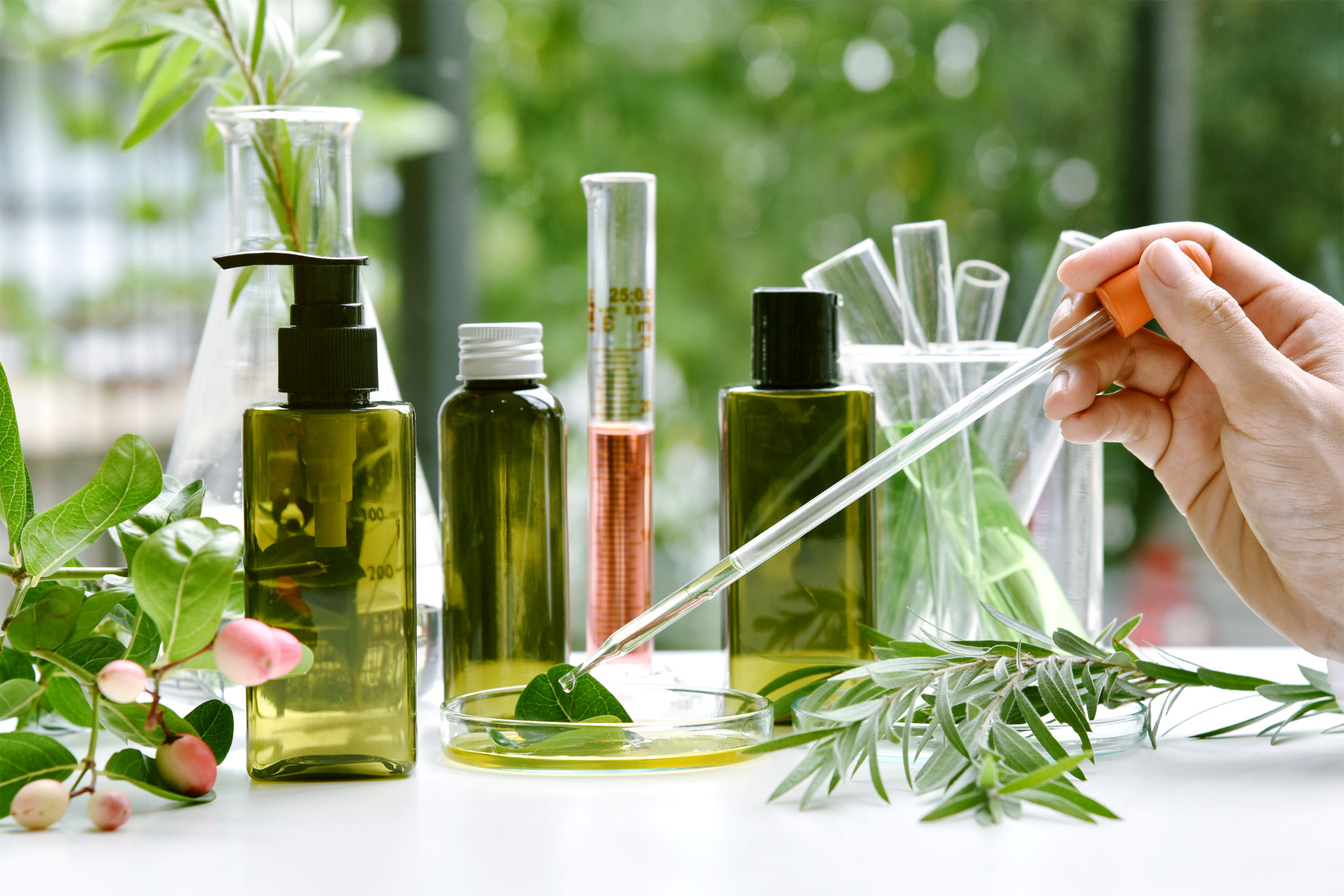 perfume ingredients