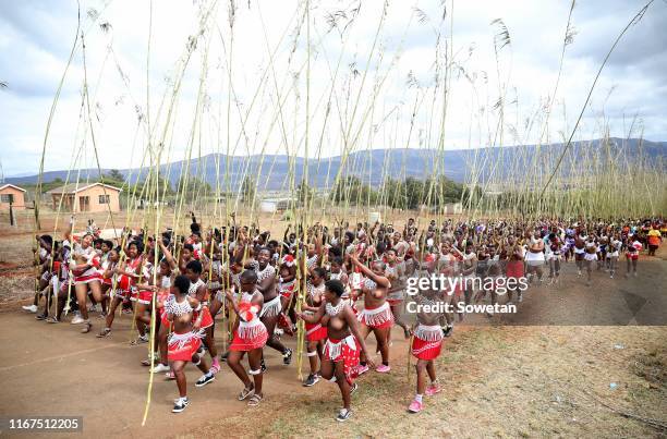 Zulu maidens gather during the annual Umkhosi Womhlanga at Enyokeni Royal Palace on September 07, 2019 in Nongoma, South Africa. The reed dance,...