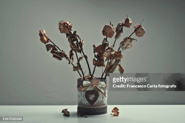 dried roses - végétation fanée photos et images de collection