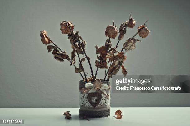 dried roses - wilted plant - fotografias e filmes do acervo