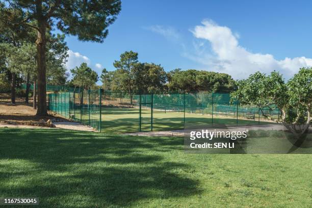 a tennis court in a park surrounding by trees - tennisveld stockfoto's en -beelden