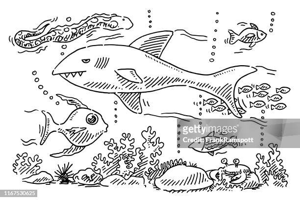 501 Black And White Aquarium Fish Photos and Premium High Res Pictures -  Getty Images