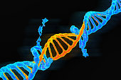 Molting blue to orange DNA double stand represented evolution or mutant, 3D rendered