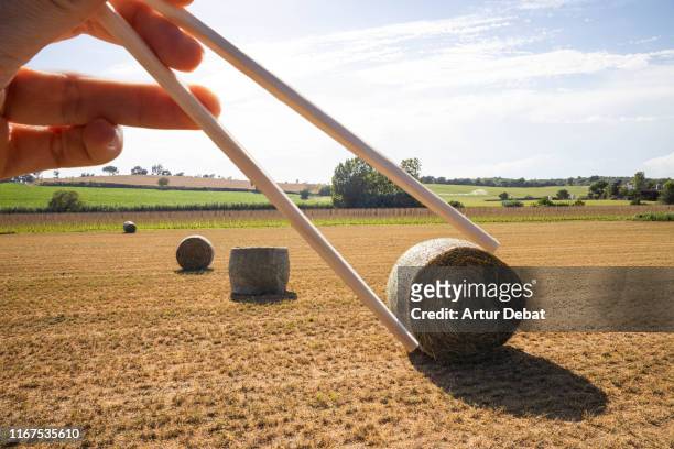 creative sushi picture with round straw bales in the countryside. - optical illusions bildbanksfoton och bilder