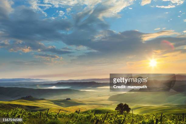 sunrise in tuscany, location: crete senesi - rolling landscape stock pictures, royalty-free photos & images