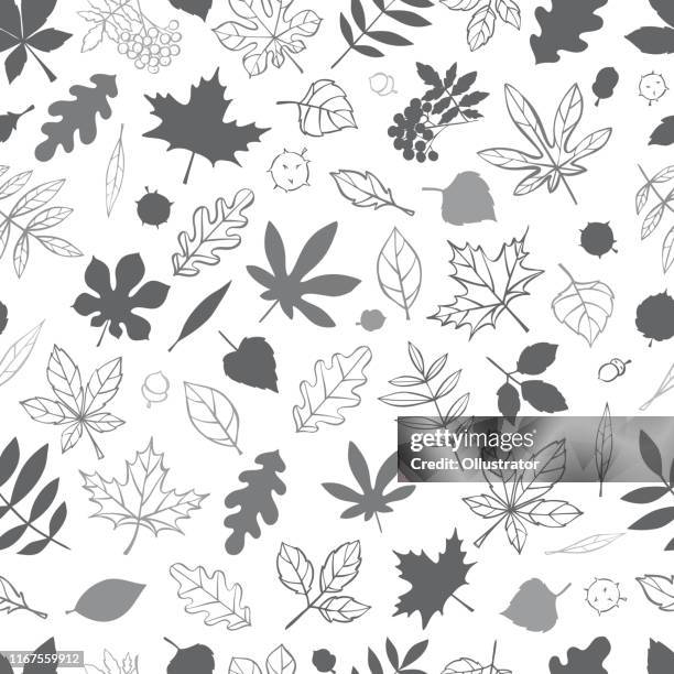 434 Falling Leaves Loop Stock Photos, High-Res Pictures, and Images ...
