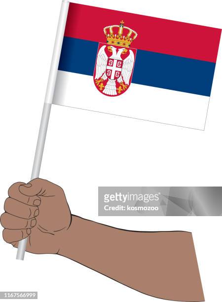 hand holding national flag of serbia - serbian flag stock illustrations