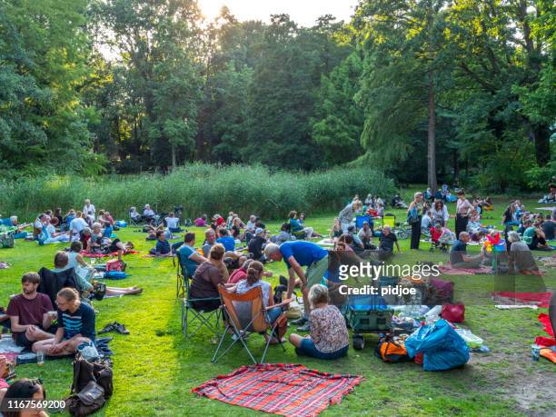 crowd of people in park, picnic. - small concert stock pictures, royalty-free photos & images