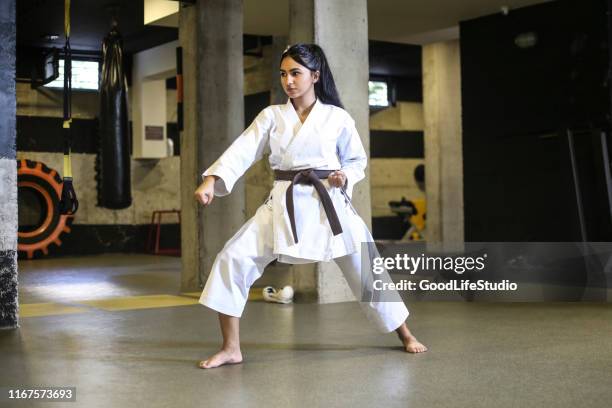 martial arts - martial arts stock pictures, royalty-free photos & images
