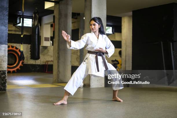 karate zei hij - zwarte band stockfoto's en -beelden