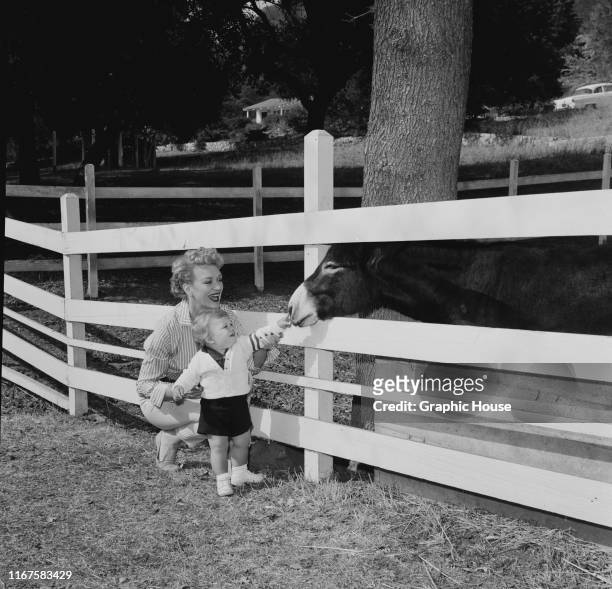 American actress Eve Arden introduces her son Douglas to a donkey, circa 1960.
