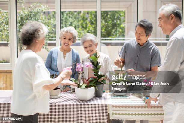 senior chinese friends planting flowers in nursing home - nursing home smiling ストックフォトと画像