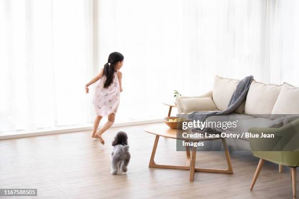 little chinese girl playing with dog in living room - apartment living asian stockfoto's en -beelden