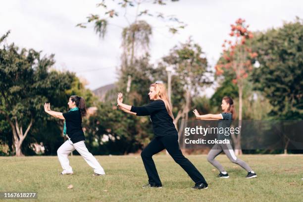 group of women training tai chi chuan outdoors - kung fu pose stock pictures, royalty-free photos & images