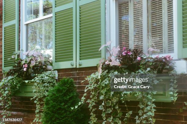 overflowing window boxes - window box stock pictures, royalty-free photos & images