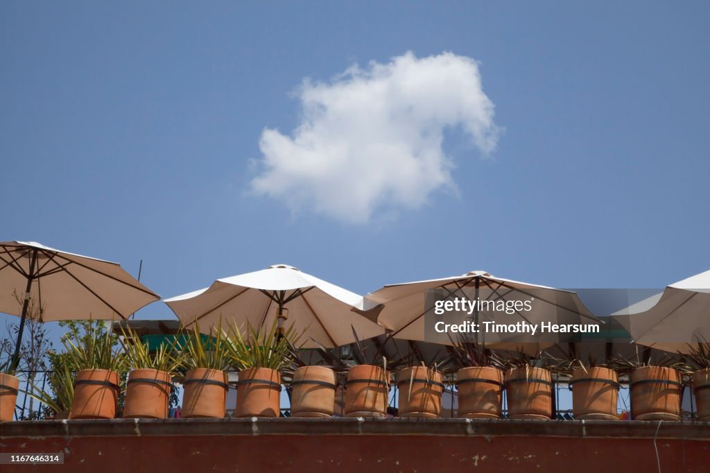 White umbrellas and potted plants line the roof of a home with a single cloud in the sky above; San Miguel de Allende, Guanajuato, Mexico