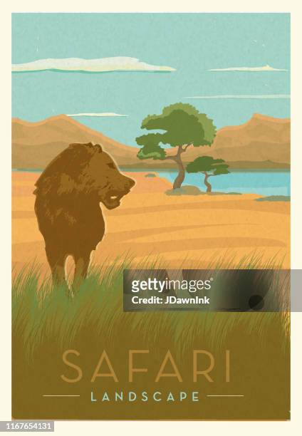 illustrations, cliparts, dessins animés et icônes de safari africain avec la conception scénique d'affiche de lion avec le texte - safari animals stock