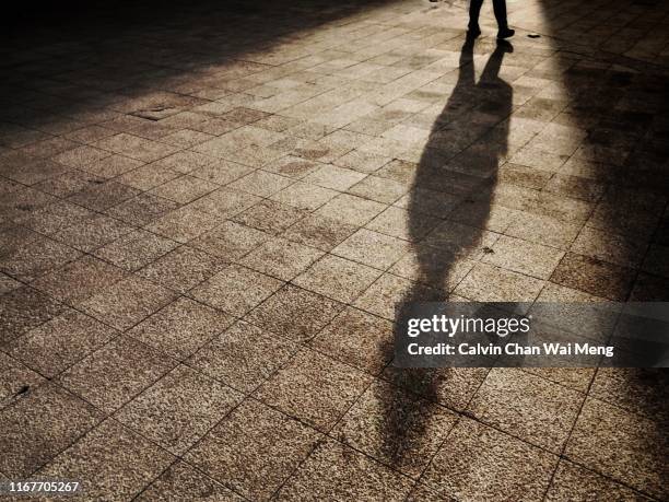 Shadow Model Walk 7,883 Leg Shadow Stock Photos, High-Res Pictures, and Images - Getty Images