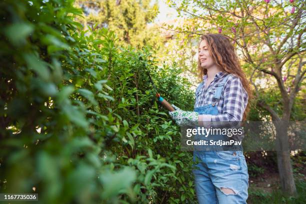 maintaining my yard is like meditating - overgrown hedge stock pictures, royalty-free photos & images