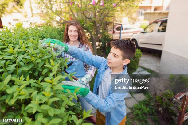 elk van onze momenten samen is gevuld met glimlach en geluk - hedge trimming stockfoto's en -beelden