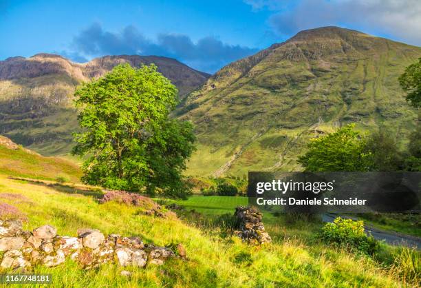 europe, great britain, scotland, highlands and lochaber geopark, glen coe valley, place of hagrid's hut replica (harry potter movie) and filming of the skyfall movie (james bond) - new jersey landscape stock pictures, royalty-free photos & images