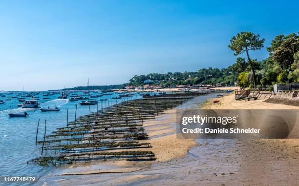 france, gironde, arcachon bay, cap-ferret, baie du canon at low tide and oyster parks - cap ferret stock pictures, royalty-free photos & images