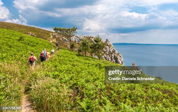 france, brittany, crozon peninsula, telgruc sur mer, coastal path gr34 between l'ile de l'aber and trez-bellec beach - bretagne road landscape fotografías e imágenes de stock