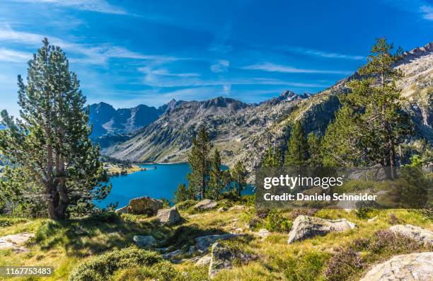 france, hautes-pyrenees, haute vallee d'aure, neouvielle national nature reserve, the aubert lake seen from la hourquette d'aubert pathway - hautes pyrenees - fotografias e filmes do acervo