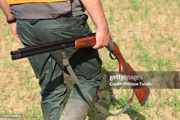 france, hunting - hunting stock pictures, royalty-free photos & images