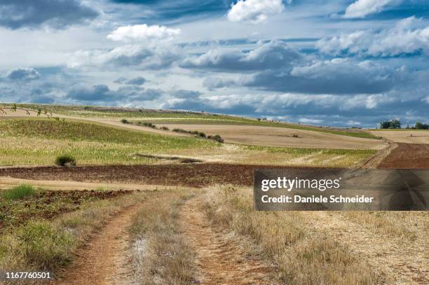 spain, autonomous community of castile and leon, province of burgos, countryside surrounding covarrubias - covarrubias stock pictures, royalty-free photos & images