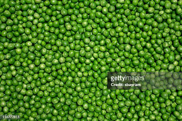 green peas - pod stock pictures, royalty-free photos & images
