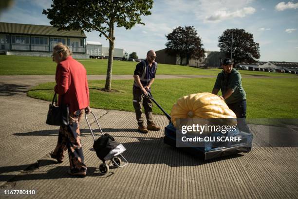 Grower Richard Mann helps a member of show staff manoeuvre his pumpkin, weighing 291.7kg, which won first prize in the heaviest pumpkin category of...