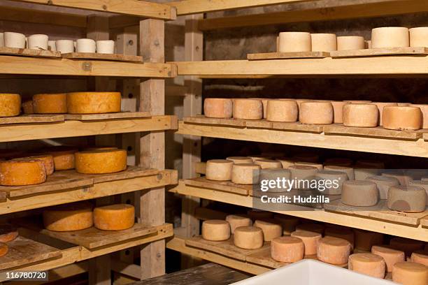 a selection of goat's cheese wheels on shelves - cellar stock pictures, royalty-free photos & images